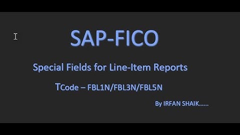 How to Enable the Special Fields in Line Item Reports in SAP