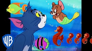 Tom und Jerry auf Deutsch 🇩🇪 | Fischige Abenteuer 🦈 | WB Kids