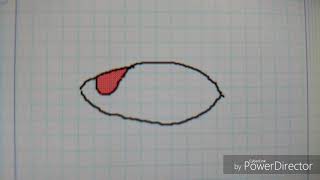Learning how to Flipnote (My first animation ever)