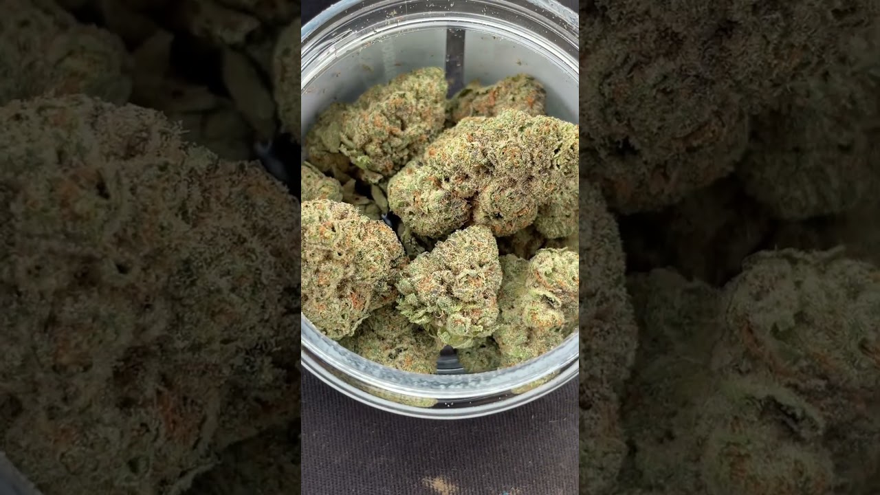 Zesty Garlic Cookies | Grassroots of WNY | 33.81%THCA