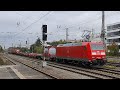 Güterzug:  Bombardier-Traxx-E-Lok der Baureihe 185 in München-Heimeranplatz