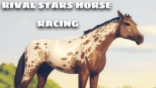 картинка: Новая звездочка в моей конюшне в Rival Stars!