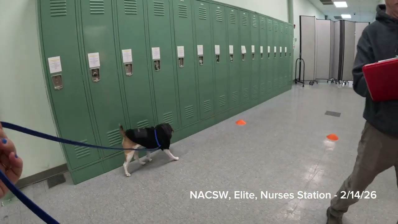 Remy - NACSW - Elite (ELT) - Nurses Station - Flemington NJ 2-14-26 PRONOUNCED