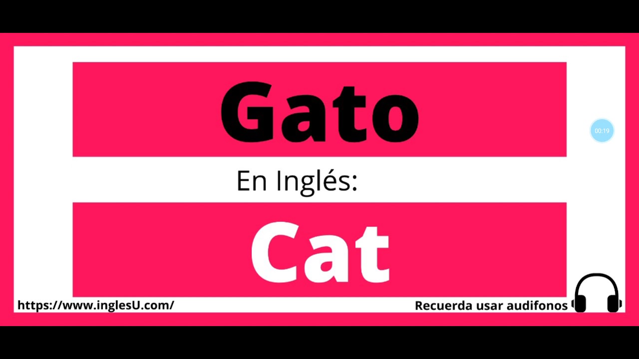 Cómo se dice Gato en inglés - Gato en ingles - YouTube