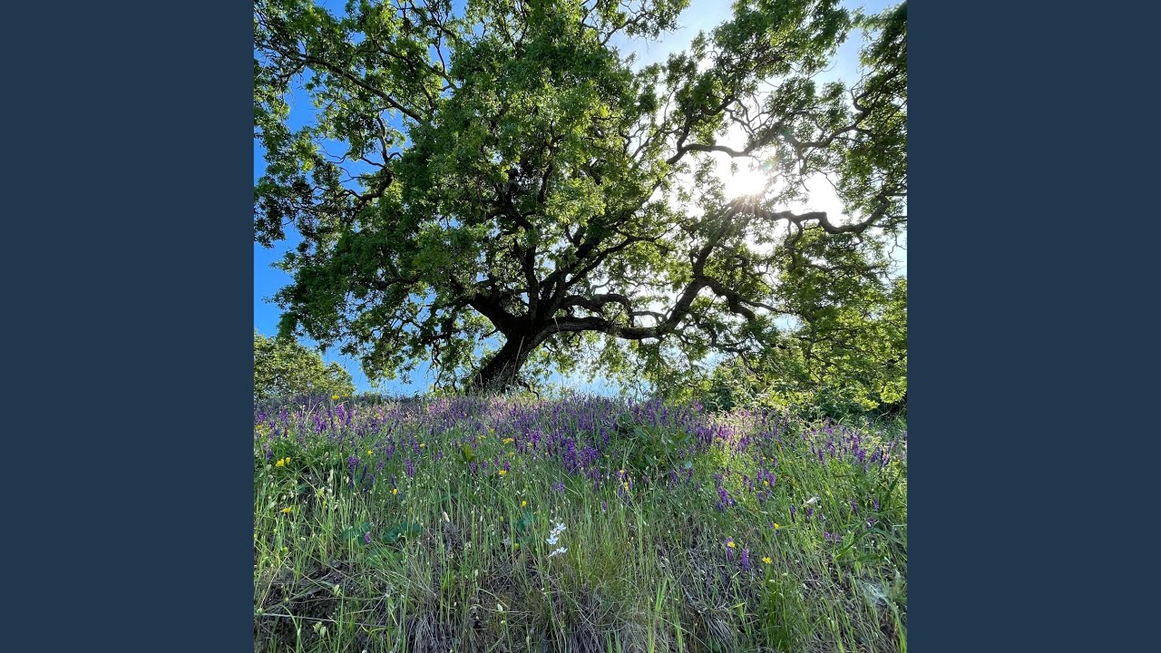 Drone Meditation ~ Recognize