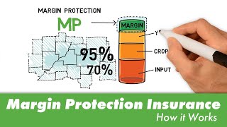 Margin Protection - How it Works (CY 2024)