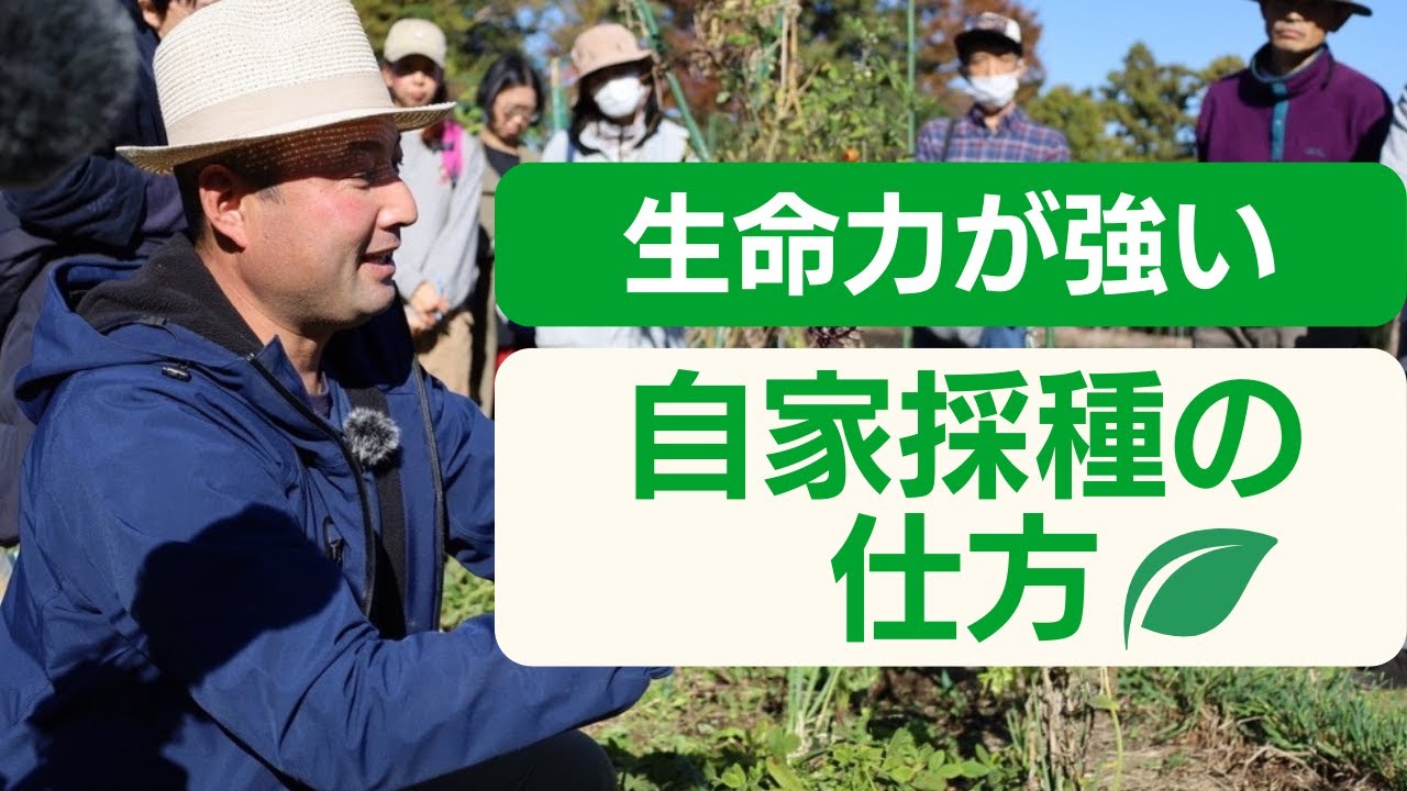 Natural Gardening Mini Seminar No. 24] How to collect viable seeds