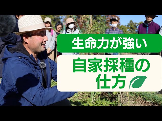 骨壷(野菜作りが趣味の方) Natural Gardening Mini Seminar No. 24] How to collect viable seeds