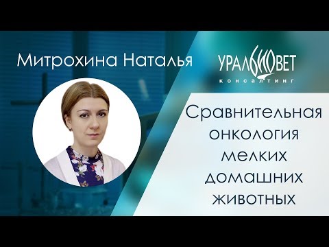 Сравнительная онкология МДЖ: современные представления. Митрохина Наталья #убвк_онкология