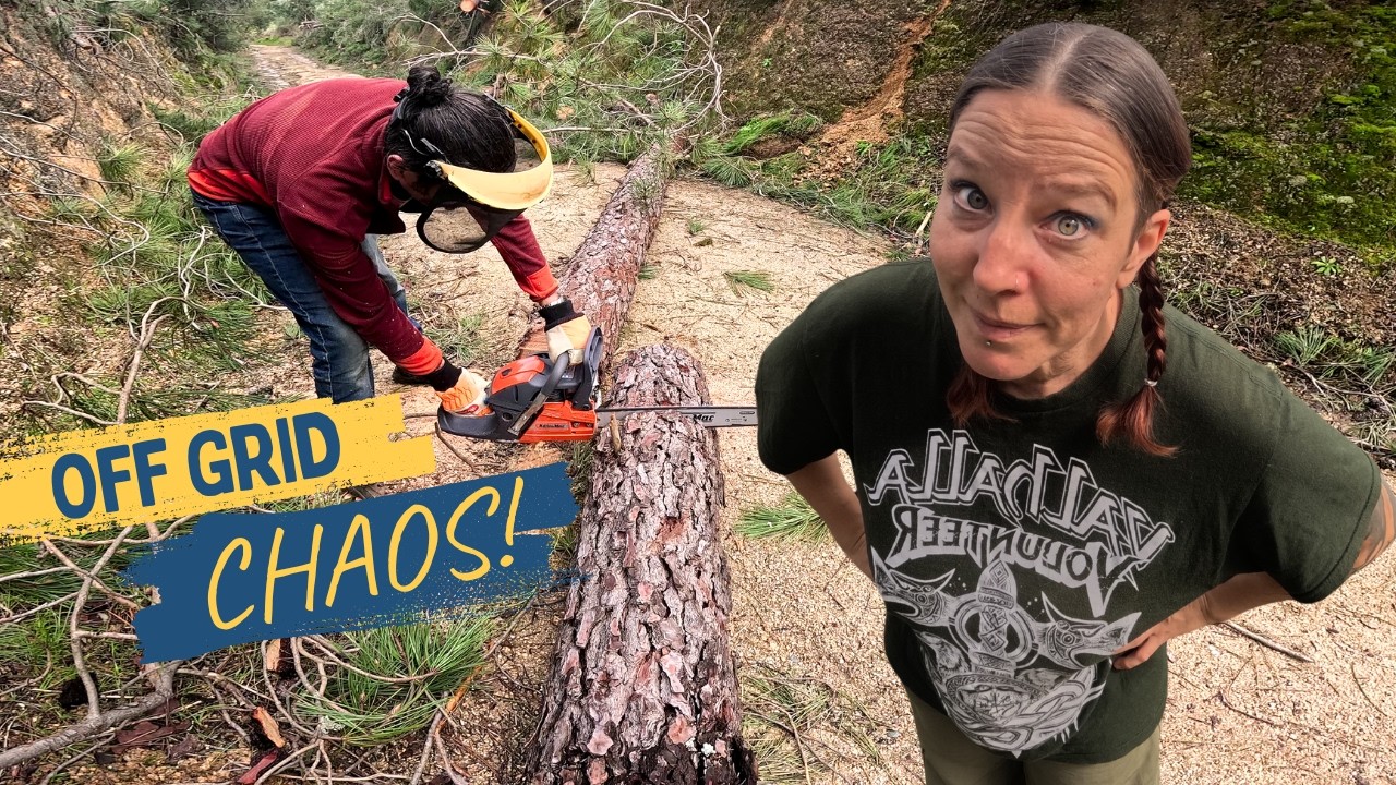 Мы не сдались… Жизнь стала по-настоящему серьёзной — Хаос вне цивилизации