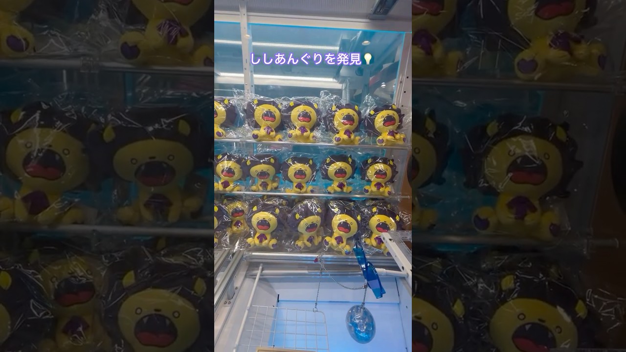 古川慎 】「ししあんぐり」がクレーンゲームに登場！【 #ししあんぐり
