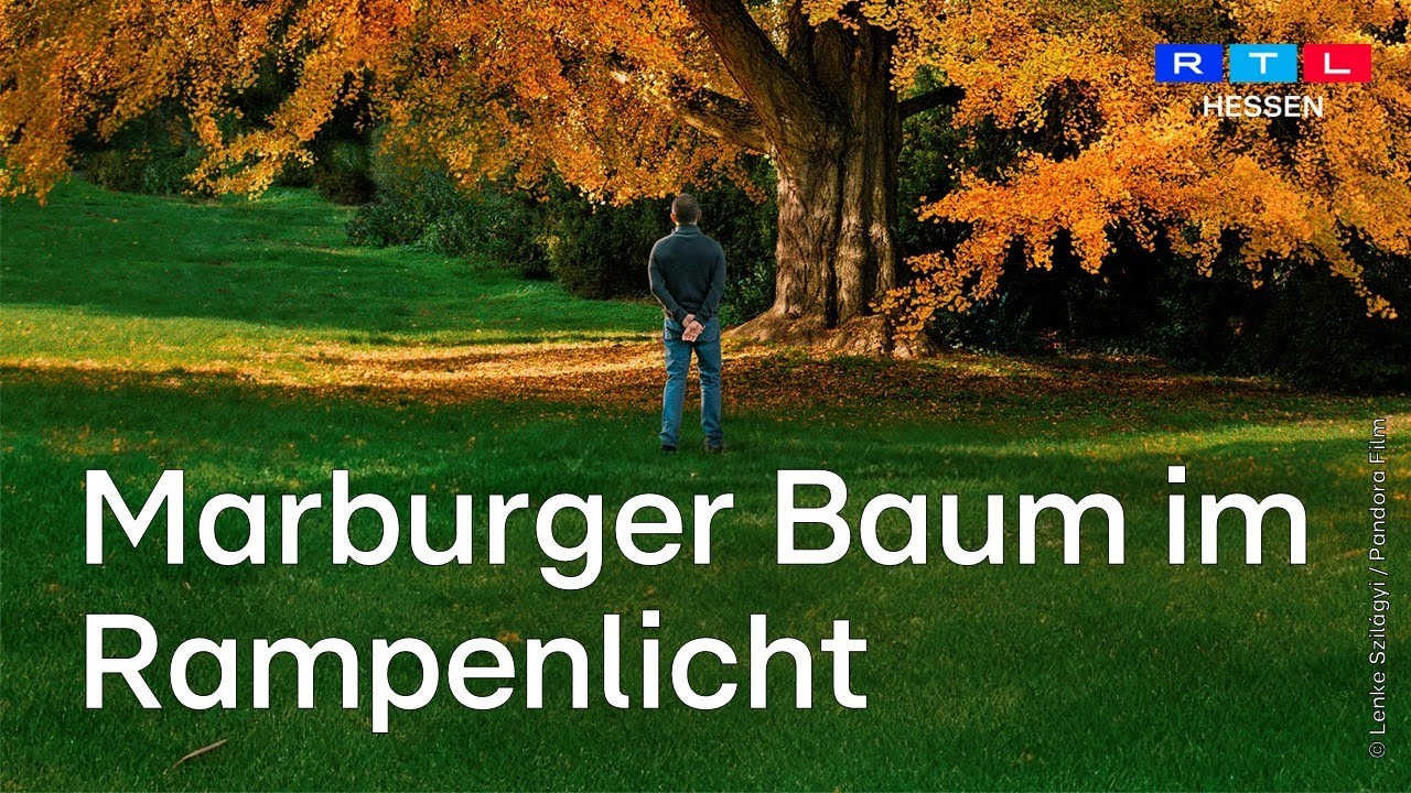 Marburg im Kino: „Silent Friend“ gewinnt internationale Preise