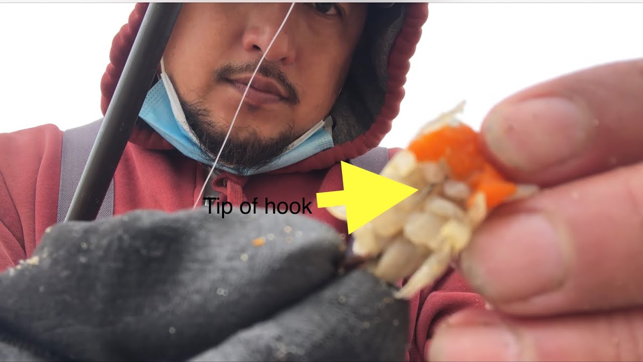 How to Bait Soft Shell Sand Crab/The Best Way to Hook Soft Shell Sand