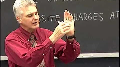 Electric Forces on Neutral Objects