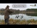 Хищники весенних водоемов. Практика ловли с Валерием Сикиржицким. Выпуск 9