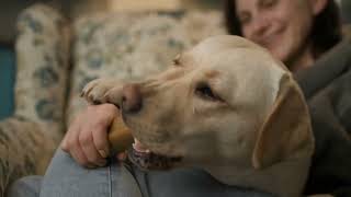 Qué es mejor para un perro pasta o arroz by Cuidemos el Planeta 90 views 11 months ago 5 minutes, 34 seconds