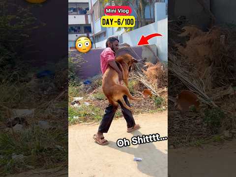 Dog 🐕 Getting Kidnapped 😳💥