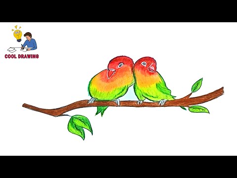 How to Draw a Bird 2 Birds From One Easy Sketch