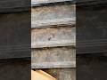 day 21 tiles work 🤫 video #trending #viral #tilesdesign #ytshorts #tileswork