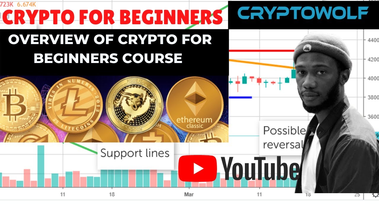 Crypto for Beginners Overview of Cryptocurrency Part 1 All you will