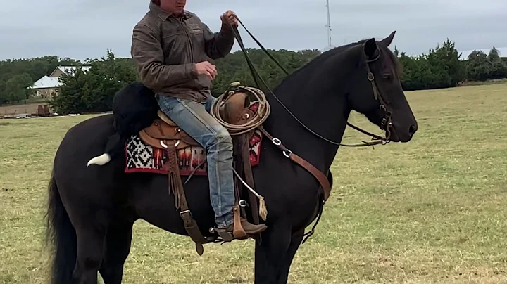 Lot #28 The Major Black Jack offered by Mozaun McK...