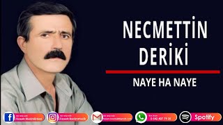 Necmetti̇n Deri̇ki̇ - Naye Ha Naye