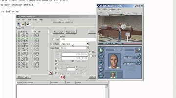 How to cheat in sims 2 (emulator)