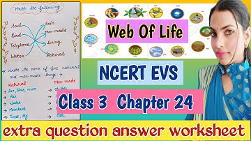 NCERT EVS/ Class 3/ Chapter 24 {Web of Life } extra question answer worksheet solution for revision