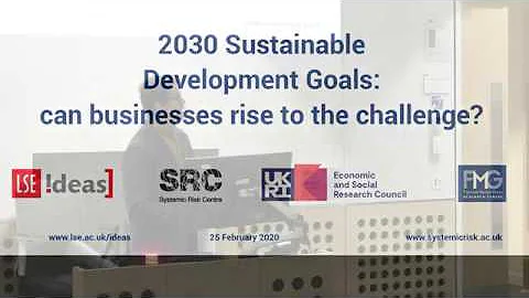2030 Sustainability Goals: can businesses rise to ...