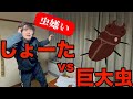 しょーたの部屋に虫が出ました。【あめんぼぷらす】