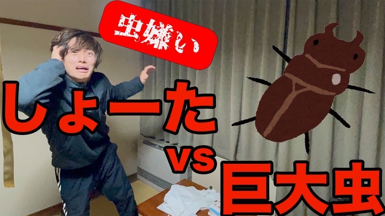 しょーたの部屋に虫が出ました。【あめんぼぷらす】 - YouTube