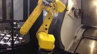 Nakamura Tome Super NTJX with Halter LoadAssistant