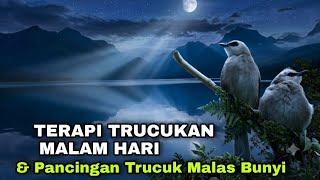 TERAPI TRUCUKAN STRES - PANCINGAN TRUCUKAN OMBYOKAN, TRUCUK BAHAN MALAS BUNYI
