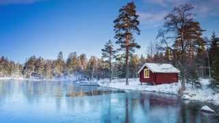 The 5 Best Places To See The Northern Lights The 5 Best Places To See The Northern Lights