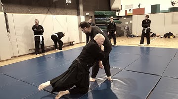 Yoko nagare as a go behind step -  January 2020 AKBAN Ninjutsu addendum