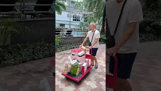 Xe đẩy hàng gấp gọn siu tiện lợi nè🤩 #halytran #dailyvlog #review