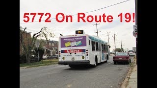 NeoplanDude | SEPTA 2004 New Flyer D40LF #5772 On Route 19, To Torresdale Station!