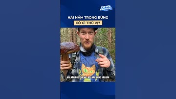 Hái nấm trong rừng có gì thú vị? #shorts