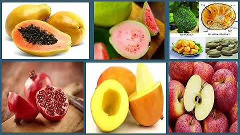 E2/ 3C / EVS / BLOOMING AND SPROUTING / GEETHA SRINIVAS