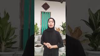 Morfologi tumbuhan klasifikasi batang pada tumbuhan