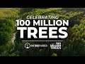 How we planted 100 million trees  one tree planted