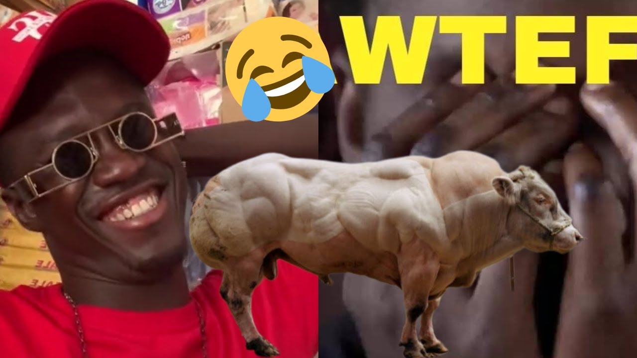 🚨Appelle THIOUNE Boutique ak BOROM Nakk🐃Bi 😂Nakk bi Dééna🤣