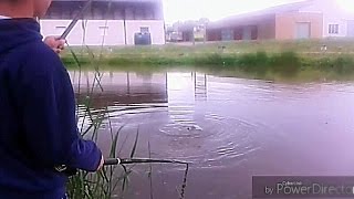 pêche au coup et au quiver : carpes , bremes et gardon en étang ( HD )