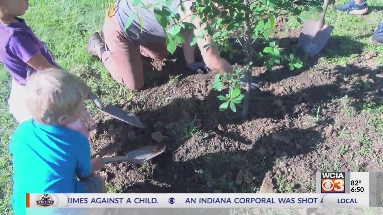 Champaign community plants 85 trees at Johnston Park - YouTube