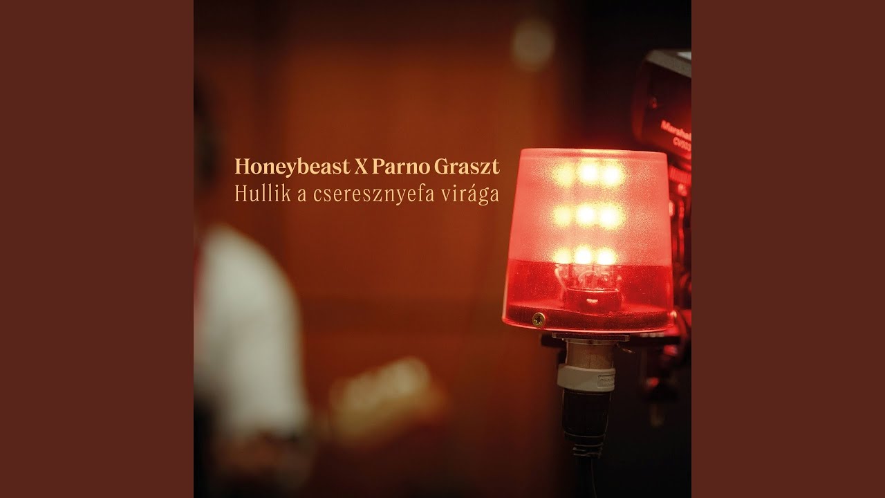 Hullik a cseresznyefa virága