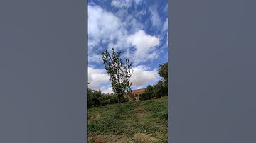 المصحف القران- الكريم- تلاوة - خاشعة- تلاوة - هادئت