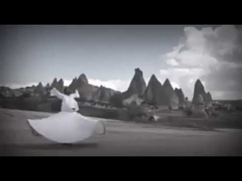 تذلل لمن تهوى فليس الهوى سهل