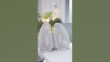 Mình đã biến thành ghế ăn cơm công thái học với tựa lưng củ Manson #omninguyen #setup #flexback