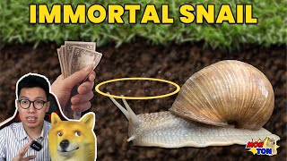 Dapat Uang 100T tapi Dikejar SIPUT Selamanya Immortal Snail Challenge - MonTon