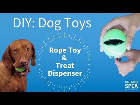 9 DIY Dog Enrichment Toys You Can Make at Home